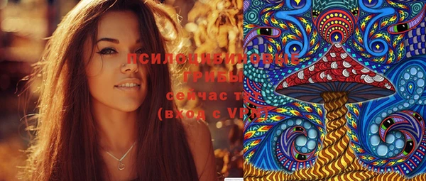 винт Алзамай