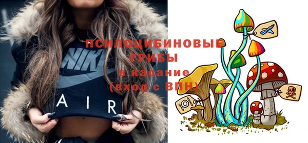 винт Алзамай