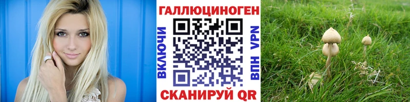Псилоцибиновые грибы мухоморы  Чехов 
